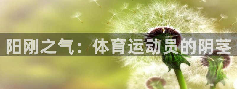 JJB竞技宝官方正版app开户：阳刚之气：体育运动员的阴茎