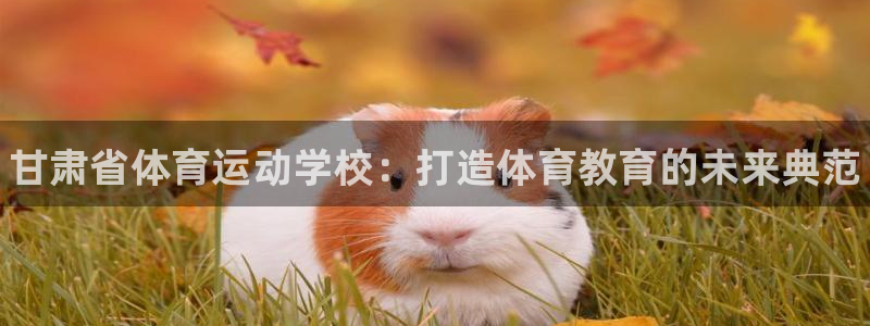 JJB竞技宝官网下载招商电话地址是多少：甘肃省体育运动学校：