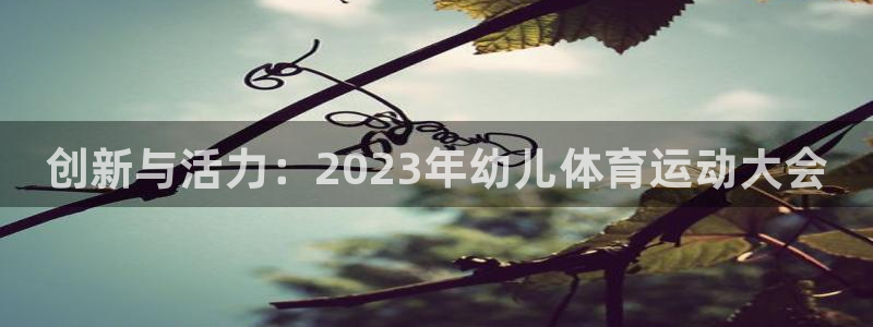 海南JJB竞技宝官网下载：创新与活力：2023年幼儿