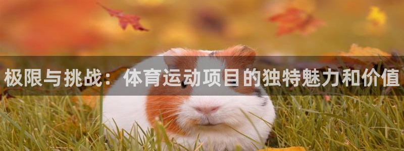 JJB竞技宝官方正版app官网：极限与挑战：体育运动项目的独