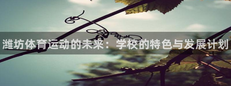 德国JJB竞技宝官方正版app集团：潍坊体育运动的未