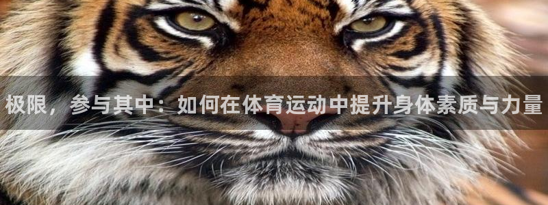 JJB竞技宝官方正版app科技