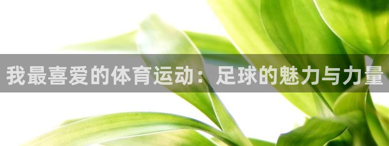 JJB竞技宝官方正版app娱乐首页网站大全：我最喜爱的体育运