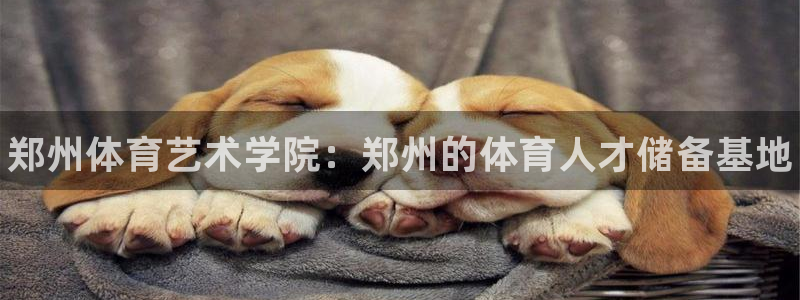 JJB竞技宝官网下载招商电话号码：郑州体育艺术学院：