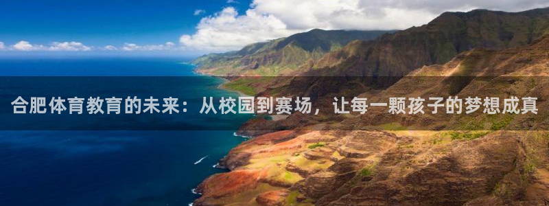 JJB竞技宝官网下载娱乐：合肥体育教育的未来：从校园