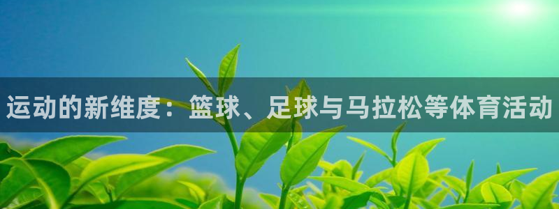 JJB竞技宝官方正版app集团logo：运动的新维度