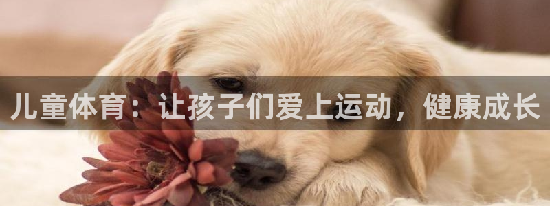 JJB竞技宝官方平台体育：儿童体育：让孩子们爱上运动，健康成