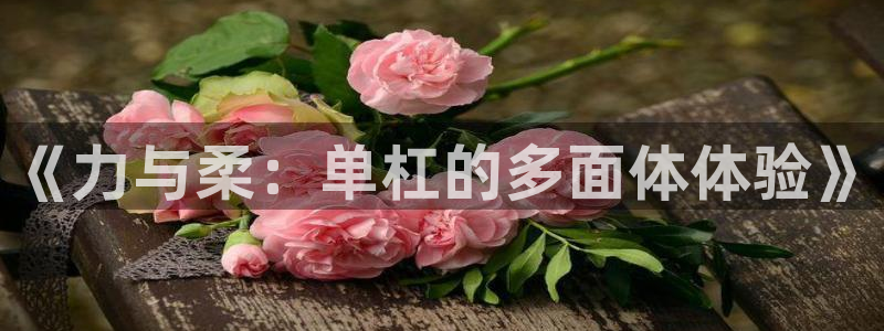 JJB竞技宝官方正版app官方：《力与柔：单杠的多面体体验》