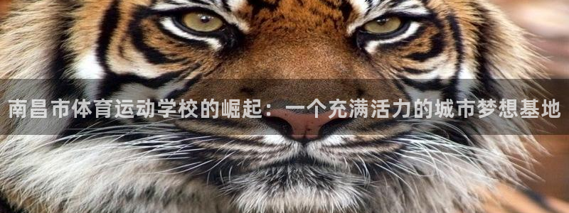JJB竞技宝官网下载招商电话地址是多少：南昌市体育运动学校的
