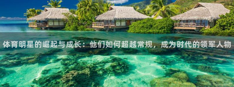 JJB竞技宝官网下载平台注册流程图：体育明星的崛起与成长：他