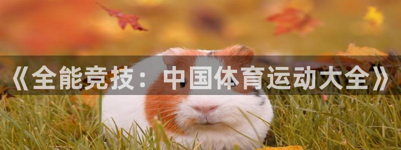 JJB竞技宝官网下载平台注册要钱吗：《全能竞技：中国