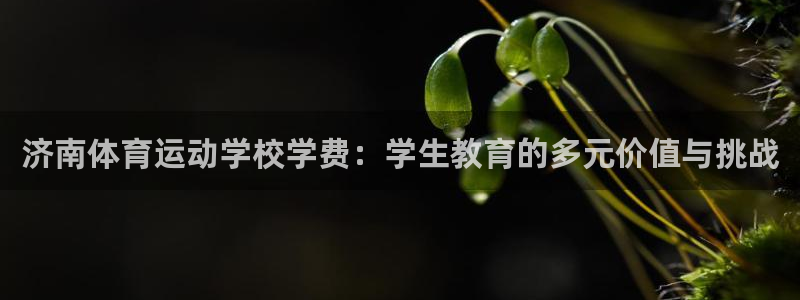 JJB竞技宝官网下载招商电话号码查询：济南体育运动学