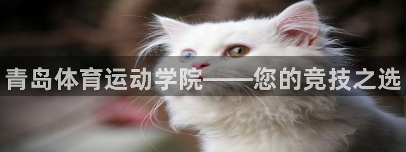 JJB竞技宝官方正版app五金厂：青岛体育运动学院——您的竞