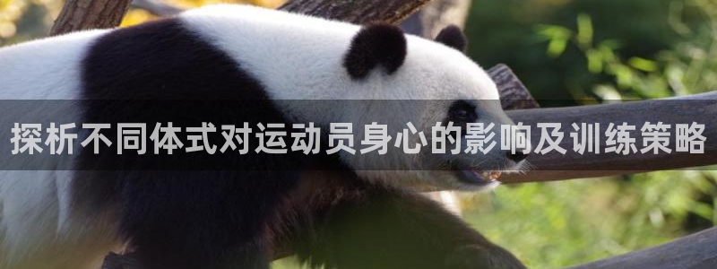 JJB竞技宝官方正版app开户：探析不同体式对运动员身心的影