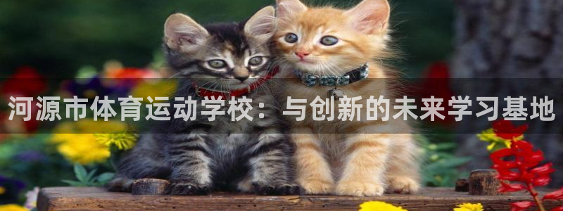 JJB竞技宝官方正版app集团官网首页：河源市体育运