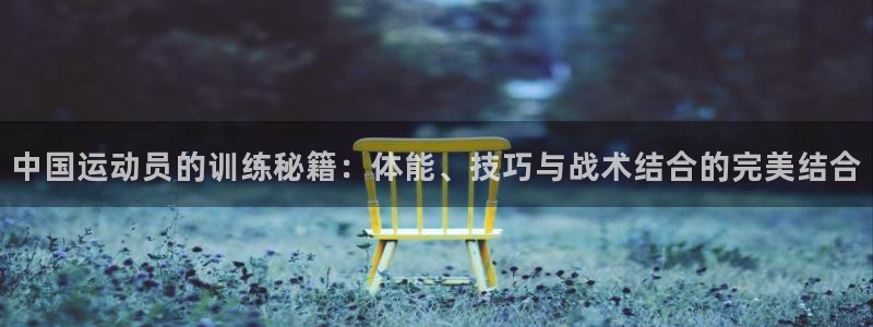 JJB竞技宝官网下载招商：中国运动员的训练秘籍：体能、技巧与