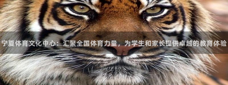 JJB竞技宝官网下载平台注册流程图：宁夏体育文化中心