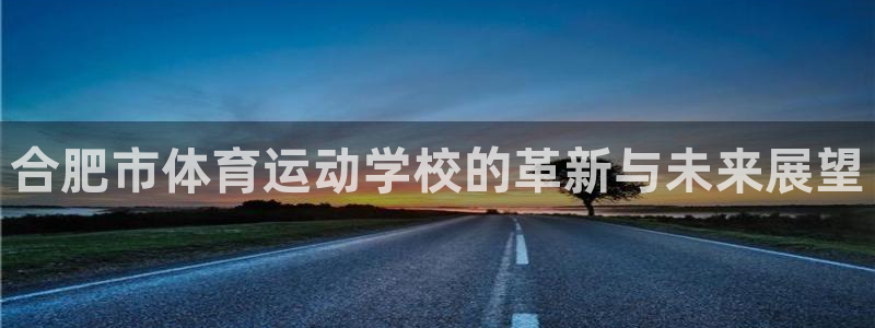 JJB竞技宝官方正版app集团简介：合肥市体育运动学