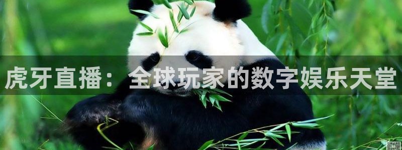 说球帝体育_足球_篮球直播：虎牙直播：全球玩家的数字娱乐天堂