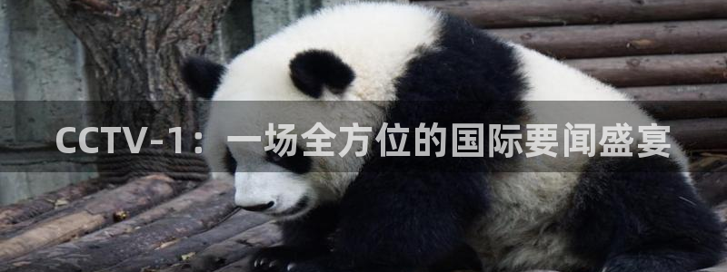 说球帝直播网站：CCTV-1：一场全方位的国际要闻盛宴