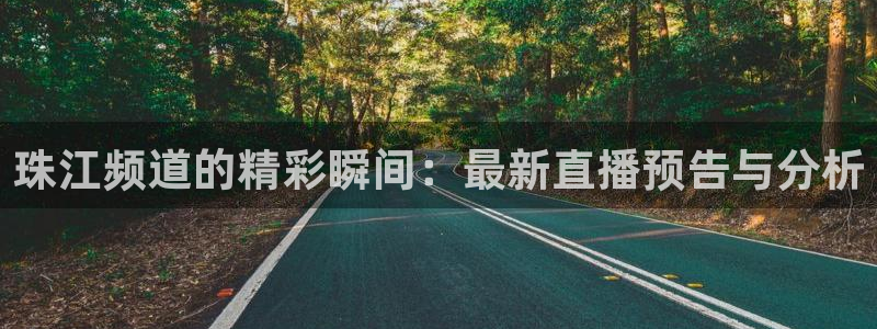 说球帝nba直播免费高清：珠江频道的精彩瞬间：最新直播预告与分析