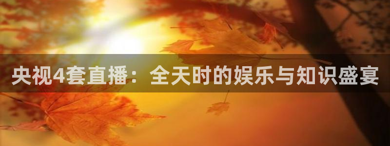 wnba直播免费观看说球帝：央视4套直播：全天时的娱乐与知识盛宴