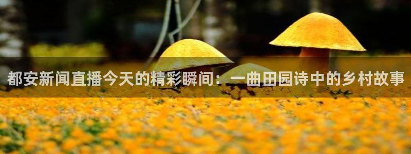 说球帝nba直播免费观看：都安新闻直播今天的精彩瞬间：一曲田园诗中的乡村故事